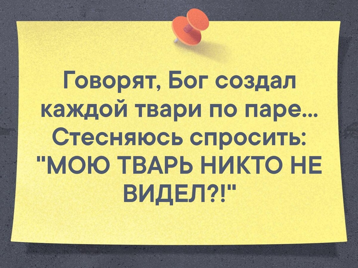 Каждой паре по паре. Бог создал каждой твари по паре. Бог создал каждой паре по паре. Бог создал каждой паре по паре стесняюсь спросить. Каждой твари по паре.