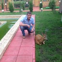  ,   , 51 ,   ,   , c 