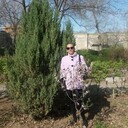 ���������� ���������, ���� ������� ����, 40 ���, ������������ ��� ������, ����� � ���������