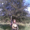  -,   , 37 ,   ,   , c 