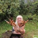 ���������� ������, ���� ������� ����, 48 ���, ������������ ��� ������, ����� � ���������