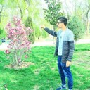 ���������� ����������, ���� ������� �����, 37 ���, ������������ ��� ���������