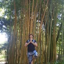 ���������� �����������, ���� ������� �����, 29 ���, ������������ ��� ����� � ���������, c�������� ���������