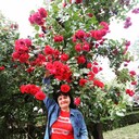  ,   , 50 ,   ,   , c 