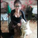 ���������� �����-���������, ���� ������� �������, 46 ���, ������������ ��� ���������