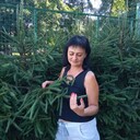 ,   , 54 ,     , c 