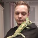 ���������� ������, ���� ������� Philipp, 29 ���, ������������ ��� c�������� ���������