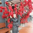 ���������� ��������, ���� ������� �������, 60 ���, ������������ ��� ������, ����� � ���������, c�������� ���������