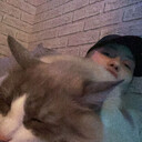  ,   , 24 ,   