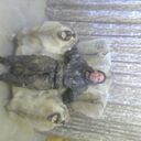 deleted,   , 42 ,   ,   