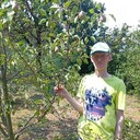 ���������� �����-���������, ���� ������� ������, 39 ���, ������������ ��� ����� � ���������, c�������� ���������