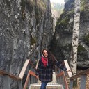 ���������� ��������, ���� ������� ��������, 36 ���, ������������ ��� ������, ����� � ���������, c�������� ���������