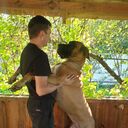 ���������� ������ ��������, ���� ������� �������, 43 ����, ������������ ��� ������, ����� � ���������, c�������� ���������