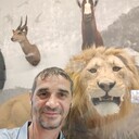  ,   , 43 ,   ,   , c 