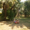  ,   Queen, 49 ,   ,   , c 