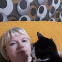 ���������� ������, ���� ������� ����, 45 ���, ������������ ��� c�������� ���������, ���������