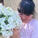 ���������� �������, ���� ������� ������, 38 ���, ������������ ��� ������, ����� � ���������, c�������� ���������