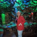 ���������� ���������, ���� ������� ���������, 55 ���, ������������ ��� c�������� ���������, ���������