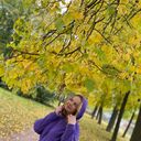  -,   , 29 ,   ,   , c , 
