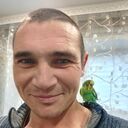  ,   , 38 ,   c 