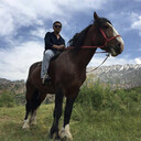 ���������� �������, ���� ������� ����, 37 ���, ������������ ��� ������, ����� � ���������