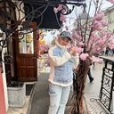 ���������� �����������, ���� ������� ���������, 67 ���, ������������ ��� ����� � ���������