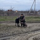 ���������� �����, ���� ������� �������, 48 ���, ������������ ��� ������, ����� � ���������, c�������� ���������, ���������