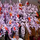 ���������� �����������, ���� ������� ������, 61 ���, ������������ ��� ������, ����� � ���������, c�������� ���������