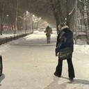 ���������� ������, ���� ����� ������, 20 ���, ������������ ��� ������, ����� � ���������, c�������� ���������