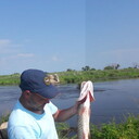 ���������� �����������, ���� ������� ������, 43 ����, ������������ ��� ����� � ���������, c�������� ���������