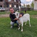  ,   Artur, 36 ,   ,   , c 