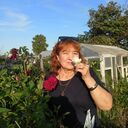   ,   , 58 ,   