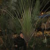  ,   Sirj, 40 ,   ,   , c 