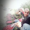 ���������� ������, ���� ������� �����, 37 ���, ������������ ��� ������, ����� � ���������