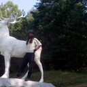  ,   Albius, 36 ,   ,   