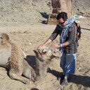 ���������� �������, ���� ������� �������, 60 ���, ������������ 