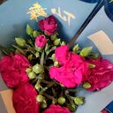 ���������� ������, ���� ������� Peter Wong, 60 ���, ������������ ��� ������, ����� � ���������, c�������� ���������