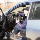 ���������� ������, ���� ������� ������, 38 ���, ������������ ��� ������, ����� � ���������, c�������� ���������