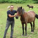  ,   Leri, 33 ,   ,   , c 
