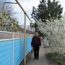  ,   , 40 ,   ,   , c , 