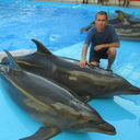 ���������� �����������, ���� ������� ���������, 55 ���, ������������ ��� ������, ����� � ���������, c�������� ���������