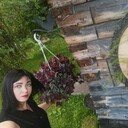 ���������� �����������, ���� ������� ����������, 40 ���, ������������ ��� c�������� ���������