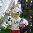 ���������� ������, ���� ������� ����, 47 ���, ������������ ��� ������, ����� � ���������, c�������� ���������