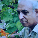  ,   , 59 ,   