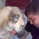 ���������� �����-���������, ���� ������� ����, 37 ���, ������������ 