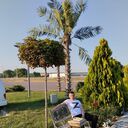  ,   , 37 ,   ,   , 