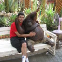 ���������� �����, ���� ������� ������, 43 ����, ������������ ��� ������