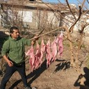 ���������� ������ ��������, ���� ������� ����, 36 ���, ������������ ��� ������, ����� � ���������, c�������� ���������