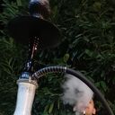 ���������� ������, ���� ������� �����, 39 ���, ������������ ��� ������, ����� � ���������, c�������� ���������