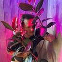 ���������� �����-���������, ���� ������� �����, 36 ���, ������������ ��� ������, ����� � ���������, c�������� ���������